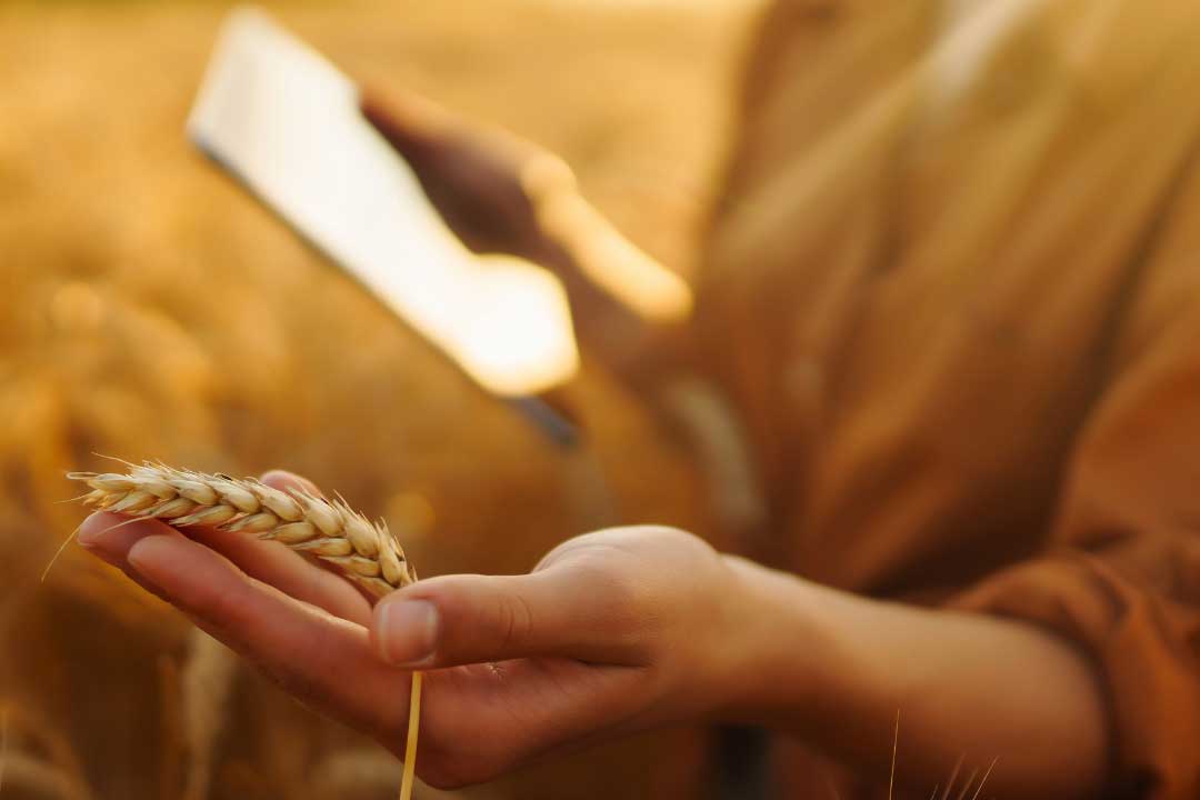 How to start a farm in Ontario
